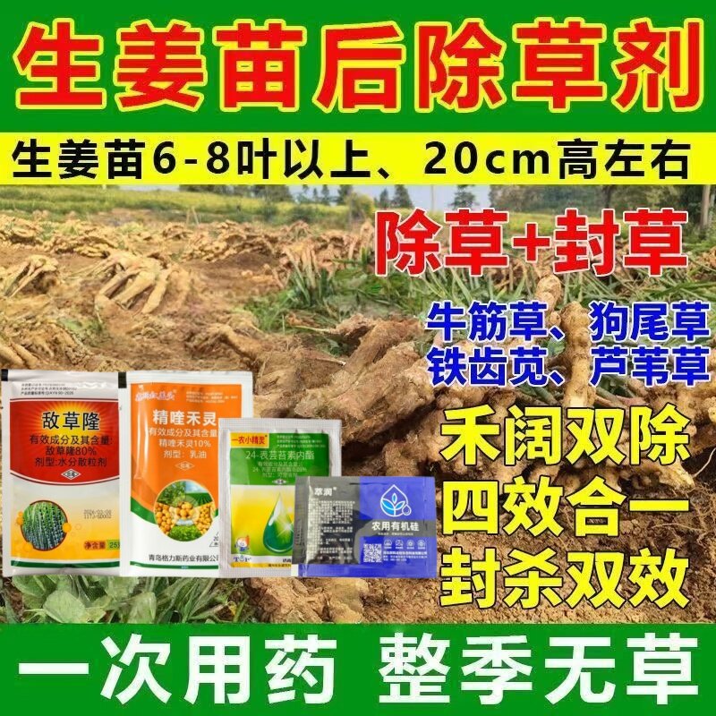 大姜田苗后专用除草剂敌草隆精喹禾灵生姜田黄姜除杂草封闭大姜田