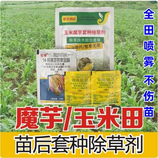 魔芋玉米田套种专用除草剂魔芋除草剂对魔芋玉米安全全田喷雾不伤