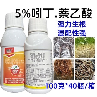 生根粉吲哚萘乙酸吲哚丁酸花卉苗木扦插移栽快速发根壮苗生根剂药