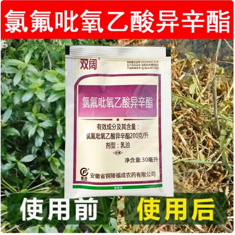 氯氟吡氧乙酸小麦玉米水稻草坪猪殃殃水花生空心莲阔叶杂草除草剂