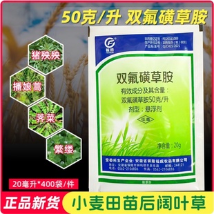 双氟磺草胺铵麦田阔叶杂草猪殃殃麦蒿耐低温冬小麦专用除草剂农药