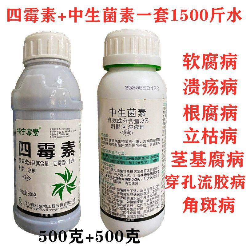 四霉素柑橘细菌性角斑病
