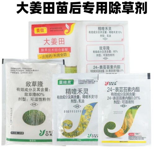 大姜苗后除草剂80%精喹安全不伤