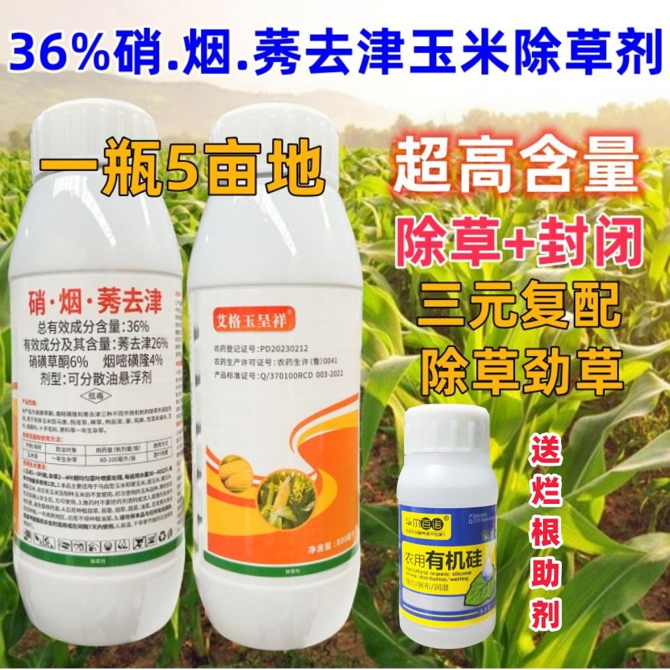 高含量玉米田苗后专用除草剂 36%硝烟莠去津三元复配苞米地除杂草
