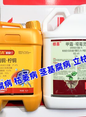 middot柠根腐病枯萎病立枯病