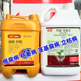 根腐灵黄枯立克柠铜络氨铜 甲霜恶霉灵根部杀菌剂根腐病姜瘟病
