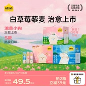 12月 原味整箱官方旗舰店正品 认养一头牛潦草小狗酸奶草莓 白桃