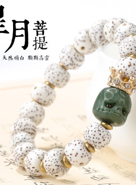 收藏级海南阿呆星月菩提手串正月原籽高密佛珠文玩情侣手链