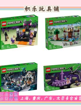 LEGO乐高我的世界21246漆黑世界之战21264末影龙21242末地竞技场