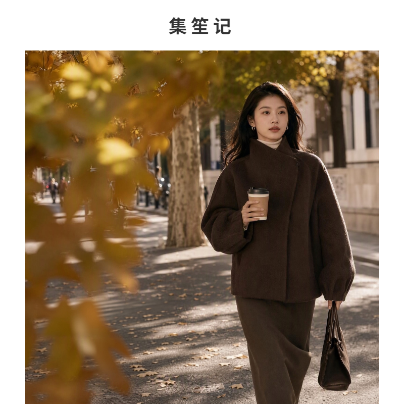 短款立领双面呢羊毛外套秋冬撞色