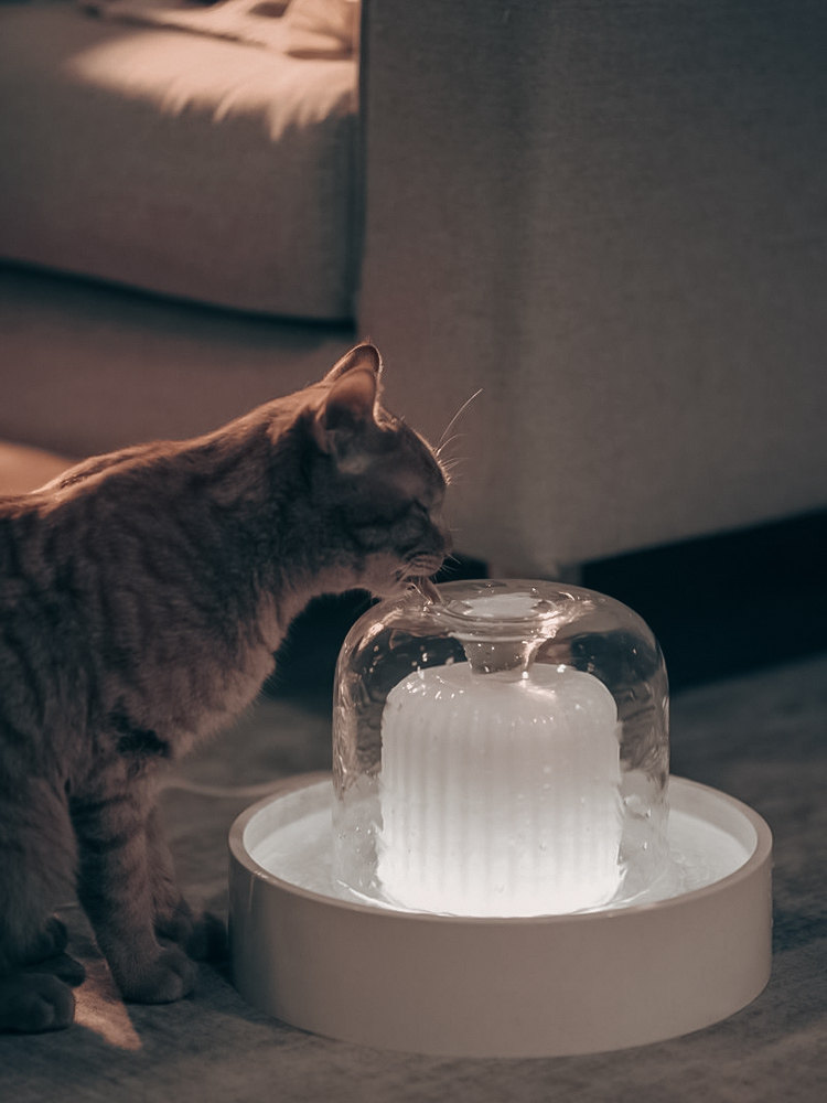 清凉夜灯饮水机，静音杀菌，免洗，不漏水2.3L大容量，自动猫饮水