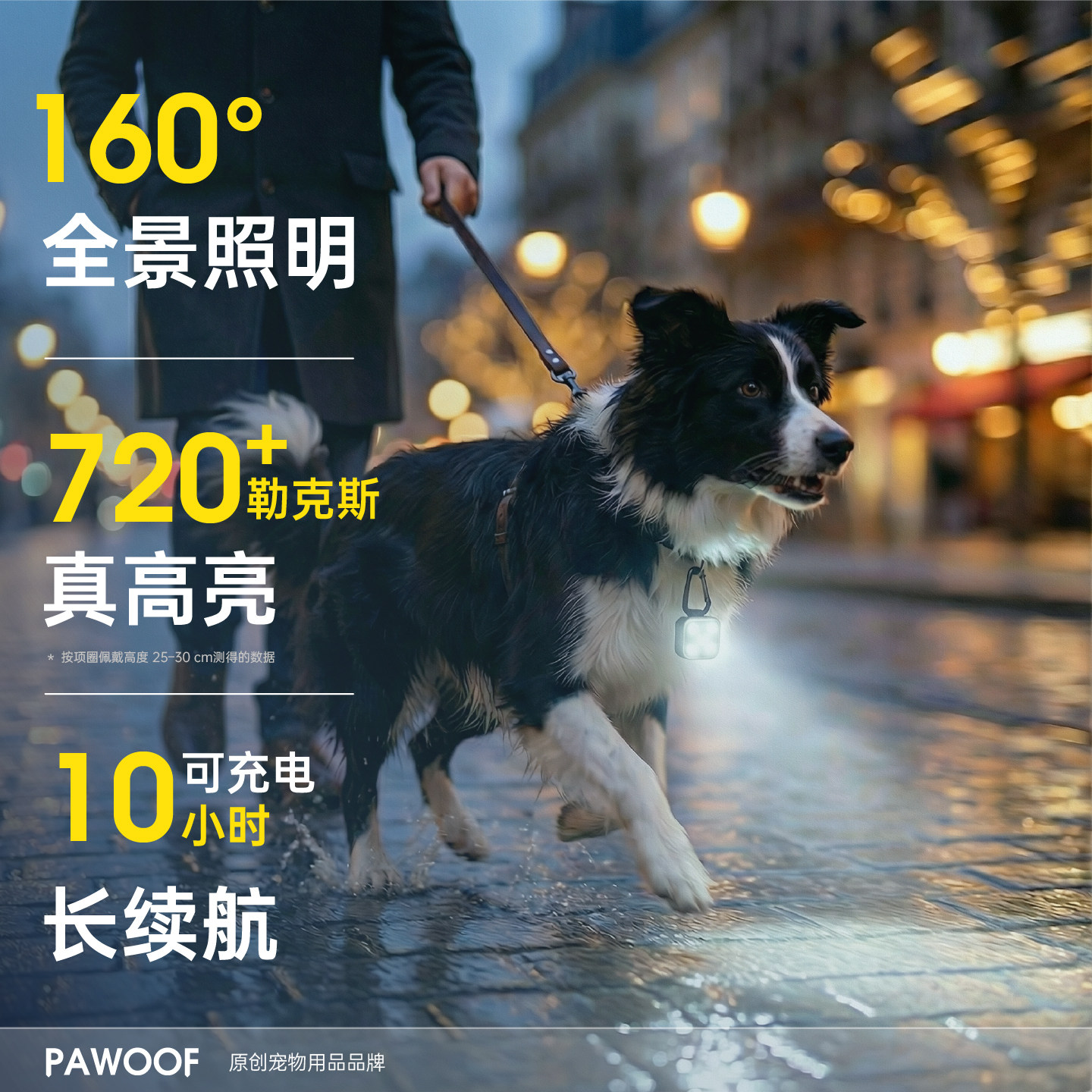 酷极遛狗夜灯发光吊坠狗狗夜行灯防走失充电防水宠物夜间防丢牌