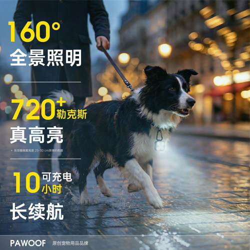 酷极遛狗夜灯发光吊坠狗狗夜行灯防走失充电防水宠物夜间防丢牌