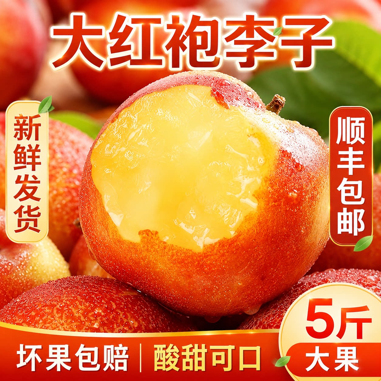 （顺丰包邮）东北大红袍大李子脆李子