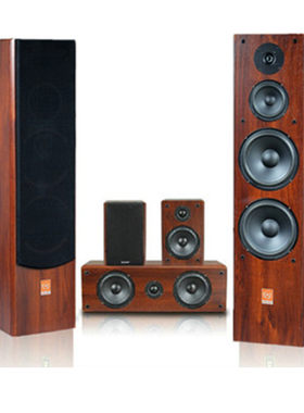 正品家庭影院发烧hifi双8寸前置