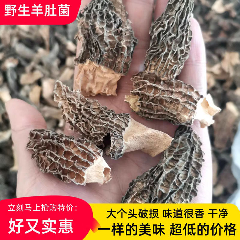 实惠云南羊肚菌干货破损野生煲汤图片