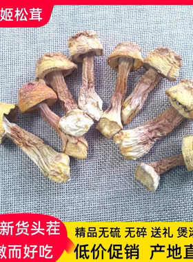 净重500克云南姬松茸巴西菇干货