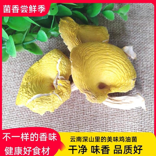 优质云南鸡油菌干货500g北风菌榆黄菌香菇黄丝菌食用野生菌包邮