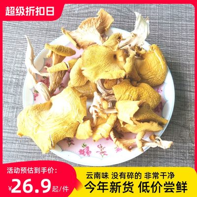 云南特产鸡油菌榆黄蘑黄金菇野生菌干货100克黄丝菌煲汤食材包邮