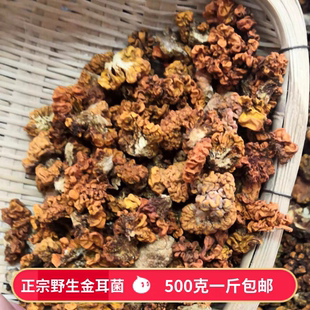 云南正宗野生黄金耳菌500g野生黄木耳干货非西藏椴木银耳桃胶包邮
