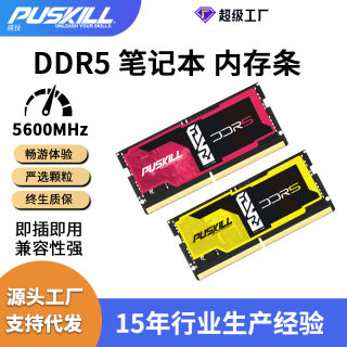 PUSKILL/浦技内存条DDR5 8G 16G 4800 5600 笔记本内存条跨境