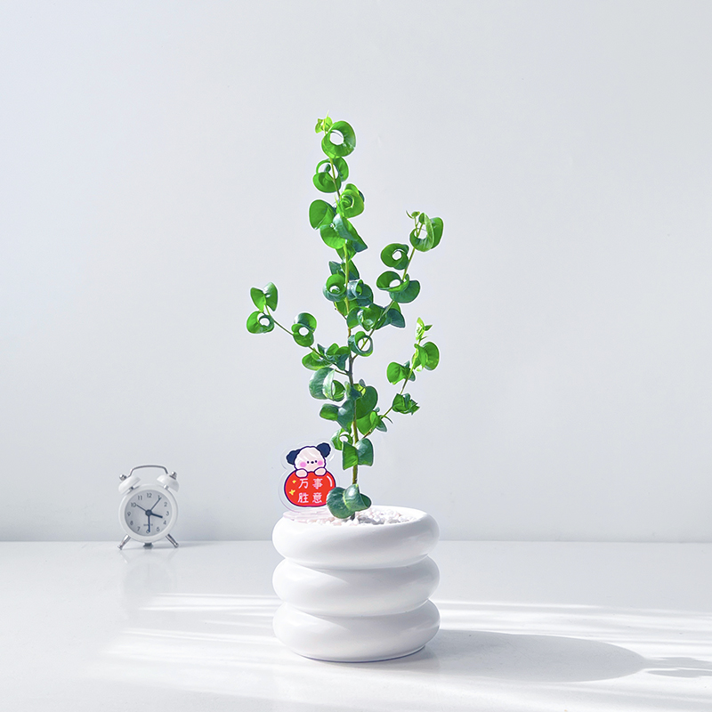 卷福办公室内客厅桌面好养盆栽