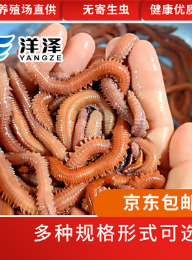 喂宠喂鱼、喂龟、钓鱼、养殖