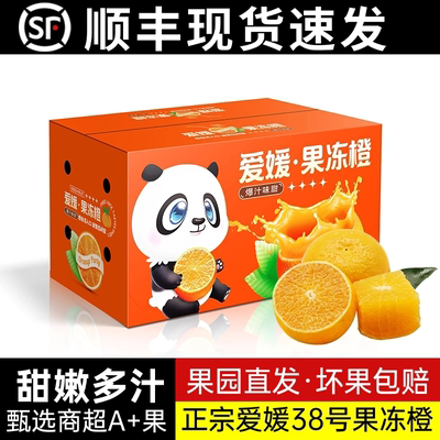 正宗四川爱媛果冻橙子