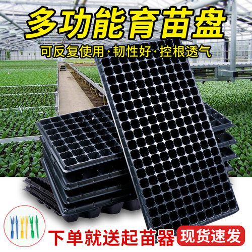 穴盘育苗盘塑料杯种植苗盆营养钵