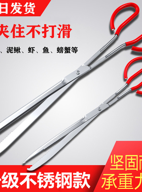 不锈钢黄鳝夹子鳝鱼夹泥鳅螃蟹钳子防滑防脱抓捉专用工具赶海神器