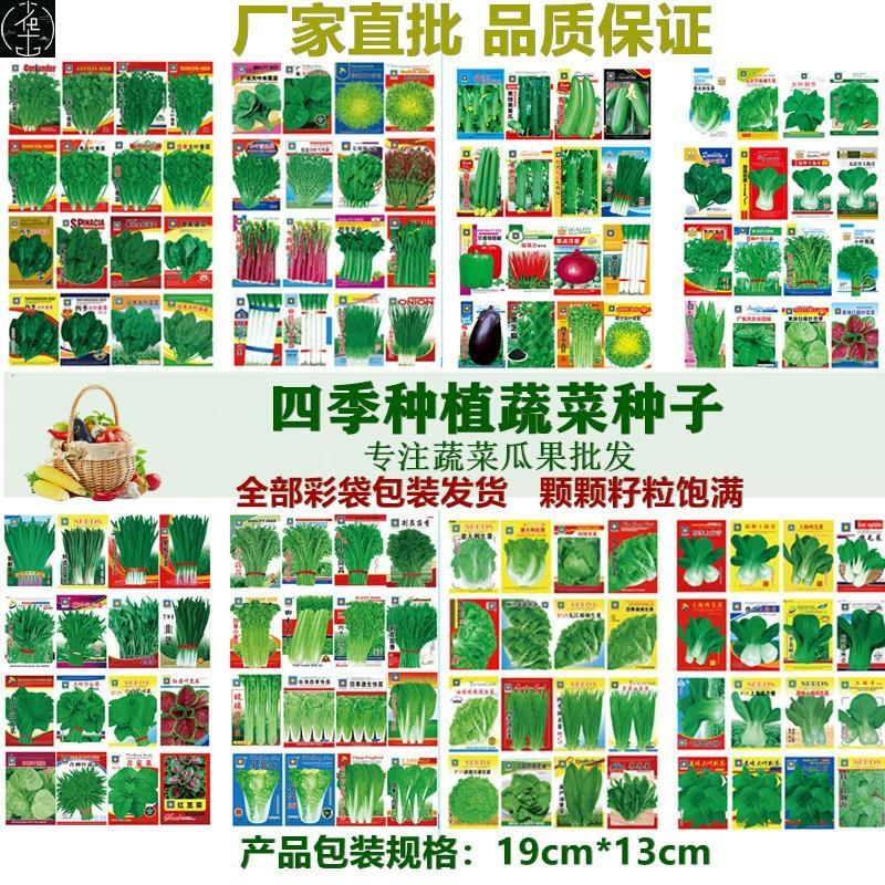 Seeds2 Four Seasons Pot Planting of Various Vegetable Seed s