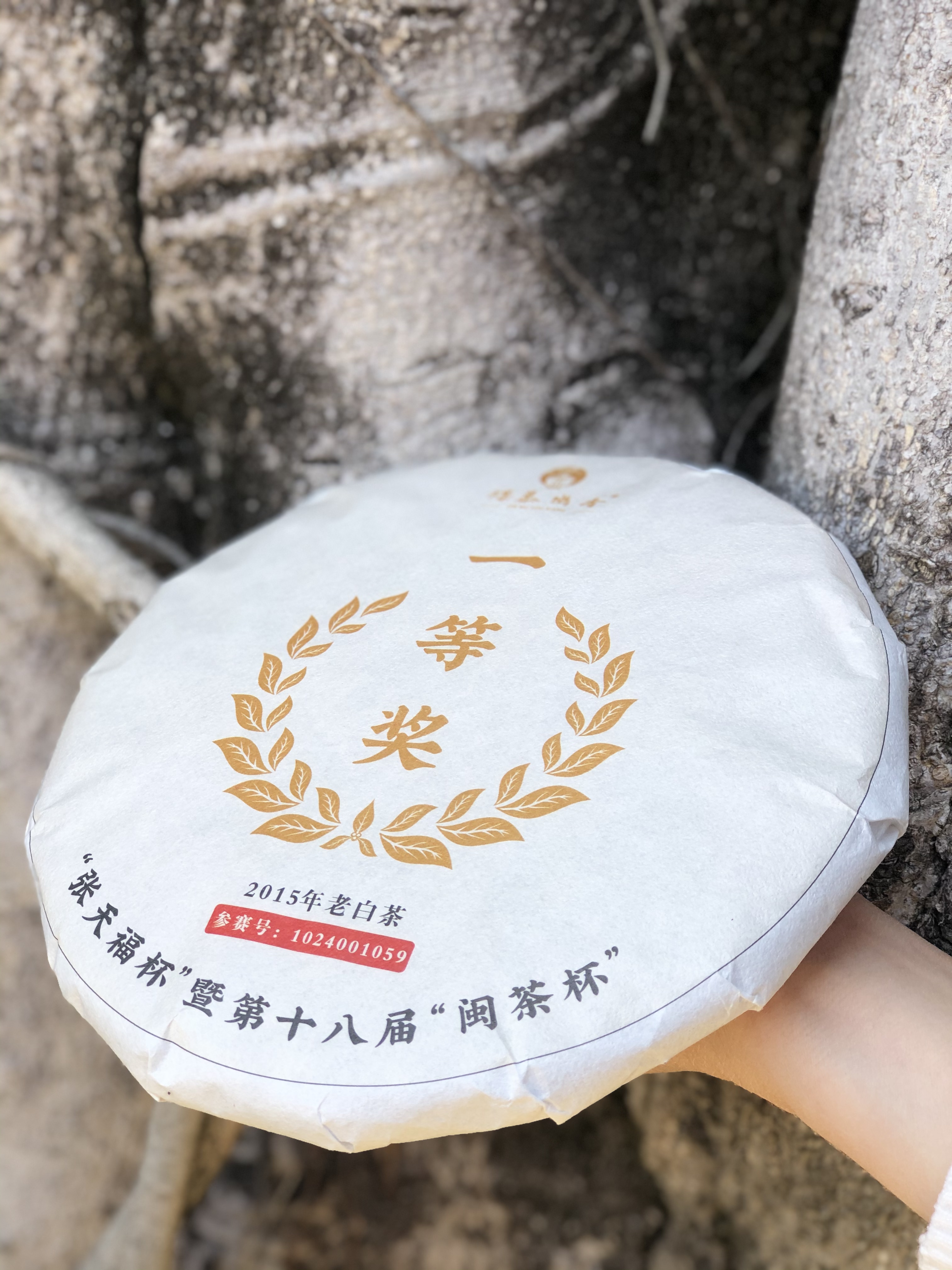 蝶慕幽香福鼎白茶闽茶杯一等奖