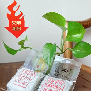 2025年秋茶第五代漳平水仙茶传承人张文健、张文将盖章茶传统工艺