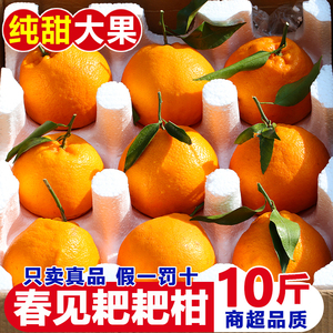正宗四川春见耙耙柑10斤当季新鲜粑粑柑丑八怪柑桔子橘子整箱包邮