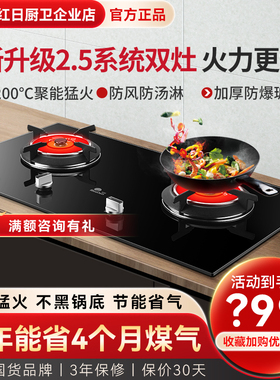 Redsun/红日 ES218B红日红外线燃气灶猛火节能双灶家用液化气灶具