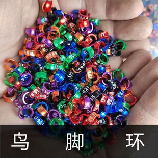 鸟脚环铝合金脚扣闭口开口环海八鹩哥鸟虎皮玄凤牡丹鹦鹉脚环批发