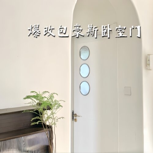包豪斯DIY无痛低成本软镜门镜
