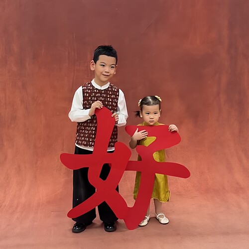 2026马年全家福好字毛毡背景布