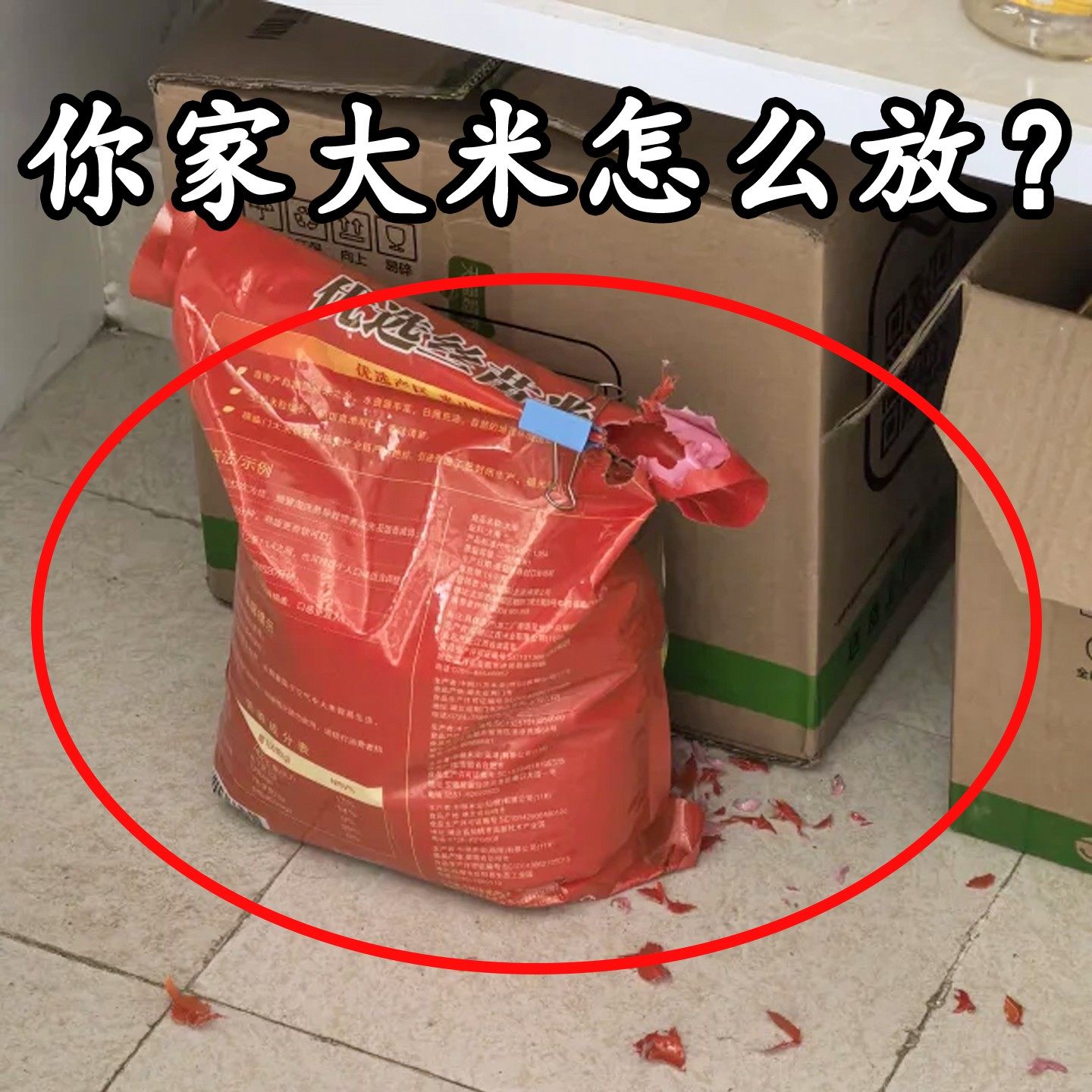 橱柜米桶乔迁之喜防虫防潮密封家用食品级按压式米箱微波炉清洁器,家庭/个人清洁工具,微波炉清洁器,淘宝优惠券,粉丝福利购,淘宝优惠卷