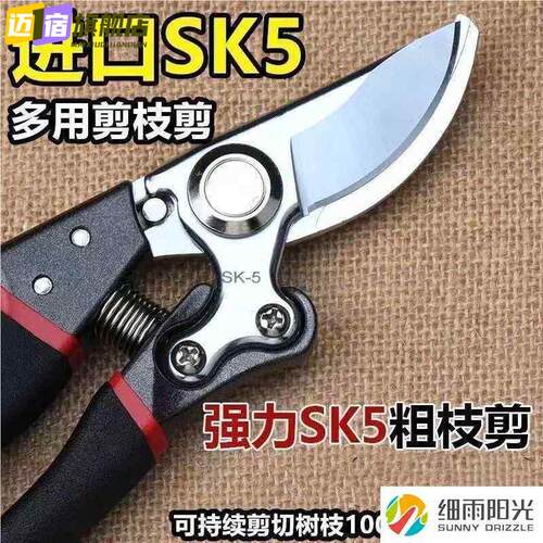 德国进口强力加厚钢果树修枝剪粗枝剪刀园林园艺修花剪家用神器