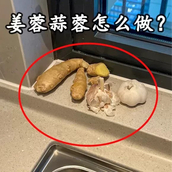 姜蒜研磨器多功能手动便携磨蒜泥姜泥手工姜泥器撞奶姜龙头置物架