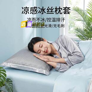 凉席枕头套夏季冰凉枕套一对装家用单个48cmx74cm枕芯内胆套枕巾