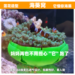 海葵窝巢奶嘴窝家杯海葵家地毯屋窝奶嘴杯容器防跑小丑鱼繁殖罐