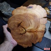 特价 处理太行崖柏天然随型原木瑕疵木雕杯垫壶垫木质奇石花架底座