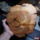 特价 处理太行崖柏天然随型原木瑕疵木雕杯垫壶垫木质奇石花架底座