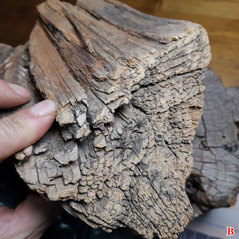 太行崖柏原木毛料摆件手把件陈化弹弓防身棒雕刻黑油打粉熏香木料