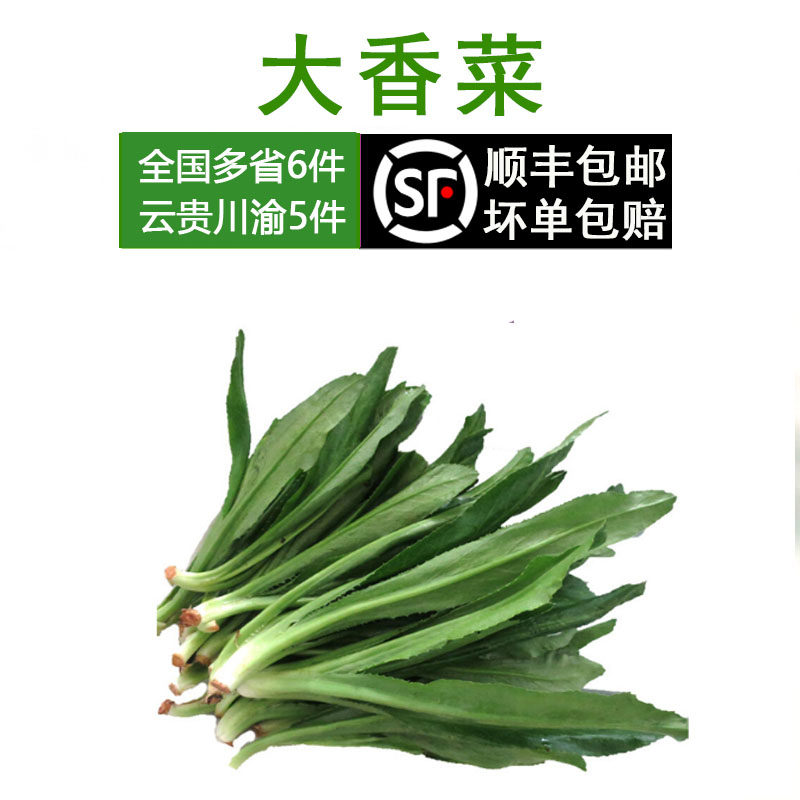 新鲜刺芫荽 大香菜 刺芹 洋鹅芥假芫茜元西/缅芜荽泰国越南香菜