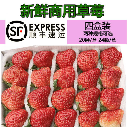新鲜现摘重庆成都顺丰包邮草莓