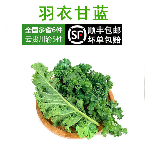 新鲜蔬菜500g嫩叶甘蓝