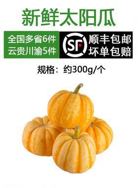 新鲜迷你桔瓜太阳果小南瓜金黄色金丝瓜真万圣节灯笼贝贝供佛观赏